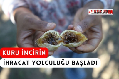 Kuru İncirin İhracat Yolculuğu Başladı