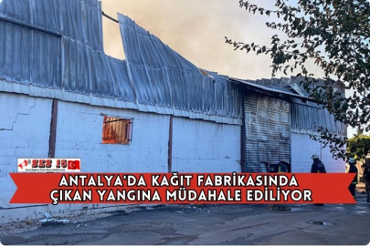 Antalya'da Kağıt Fabrikasında Çıkan Yangına Müdahale Ediliyor