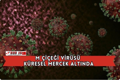 M Çiçeği Virüsü Küresel Mercek Altında