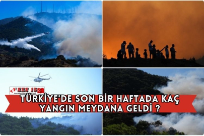 Türkiye'de Son Bir Haftada Kaç Yangın Meydana Geldi ?