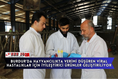 Burdur'da Hayvancılıkta Verimi Düşüren Viral Hastalıklar İçin İyileştirici Ürünler Geliştiriliyor