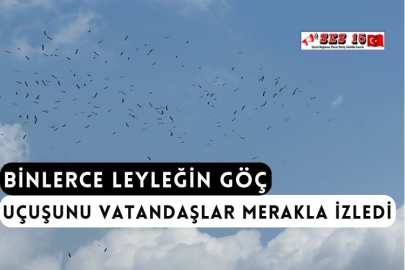 Binlerce Leyleğin Göç Uçuşunu Vatandaşlar Merakla İzledi
