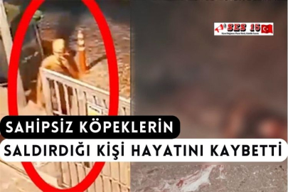 Sahipsiz Köpeklerin Saldırdığı Kişi Hayatını Kaybetti
