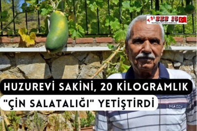 Huzurevi Sakini, 20 Kilogramlık "Çin Salatalığı" Yetiştirdi