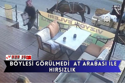 Böylesi Görülmedi  At Arabası İle Hırsızlık