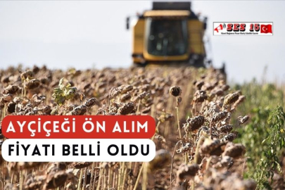Ayçiçeği Ön Alım Fiyatı Belli Oldu