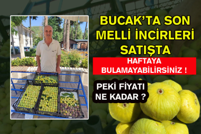 Bucak’ta Son Melli İncirleri Satışta