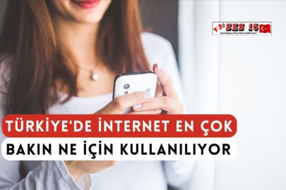 Türkiye'de İnternet En Çok Bakın Ne İçin Kullanılıyor