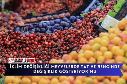İklim Değişikliği Meyvelerde Tat Ve Renginde Değişiklik Gösteriyor Mu