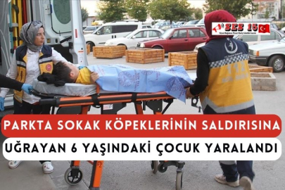 Parkta Sokak Köpeklerinin Saldırısına Uğrayan 6 Yaşındaki Çocuk Yaralandı