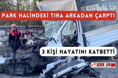 Park Halindeki Tıra Arkadan Çarptı 3 Kişi Hayatını Kaybetti