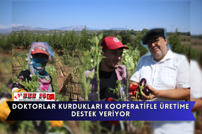 Doktorlar Kurdukları Kooperatifle Üretime Destek Veriyor