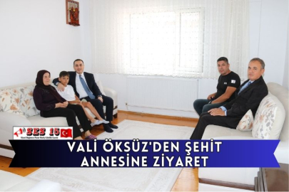 Vali Öksüz'den Şehit Annesine Ziyaret
