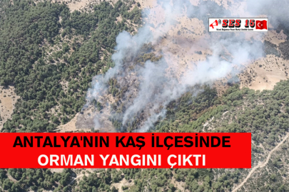 Antalya'nın Kaş İlçesinde Orman Yangını Çıktı
