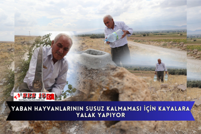 Yaban Hayvanlarının Susuz Kalmaması İçin Kayalara Yalak Yapıyor