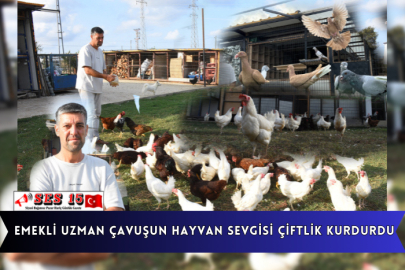Emekli Uzman Çavuşun Hayvan Sevgisi Çiftlik Kurdurdu 