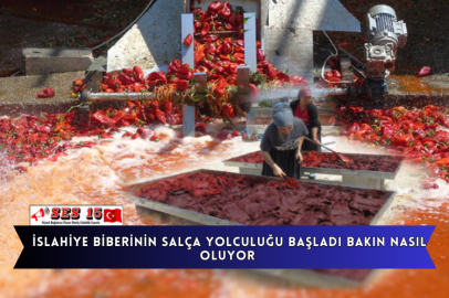 İslahiye Biberinin Salça Yolculuğu Başladı Bakın Nasıl Oluyor