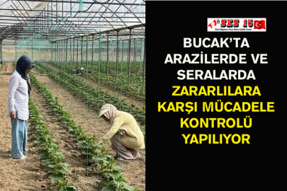 Bucak’ta Arazilerde Ve Seralarda Zararlılara Karşı Mücadele Kontrolü Yapılıyor