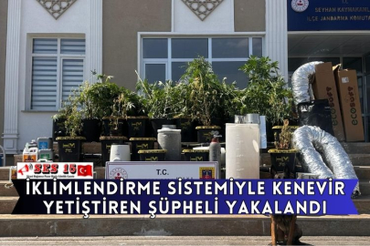 İklimlendirme Sistemiyle Kenevir Yetiştiren Şüpheli Yakalandı
