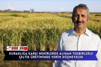 Kuraklığa Karşı Nehirlerde Alınan Tedbirlerle Çeltik Üretiminde Verim Düşmeyecek