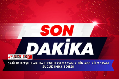 Antalya'da Sağlık Koşullarına Uygun Olmayan 2 Bin 400 Kilogram Sucuk İmha Edildi