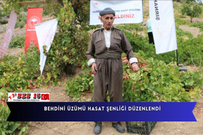 Behdini Üzümü Hasat Şenliği Düzenlendi
