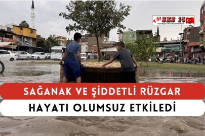 Sağanak ve Şiddetli Rüzgar Hayatı Olumsuz Etkiledi