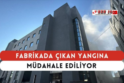 Fabrikada Çıkan Yangına Müdahale Ediliyor