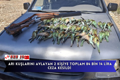 Arı Kuşlarını Avlayan 2 Kişiye Toplam 84 Bin 14 Lira Ceza Kesildi