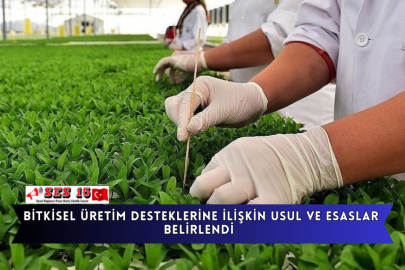 Bitkisel Üretim Desteklerine İlişkin Usul Ve Esaslar Belirlendi