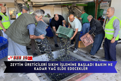Zeytin Üreticileri Sıkım İşlemine Başladı Bakın Ne Kadar Yağ Elde Edecekler