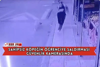 Sahipsiz Köpeğin Öğrenciye Saldırması Güvenlik Kamerasında
