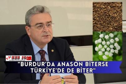 "Burdur’da Anason Biterse Türkiye’de De Biter"
