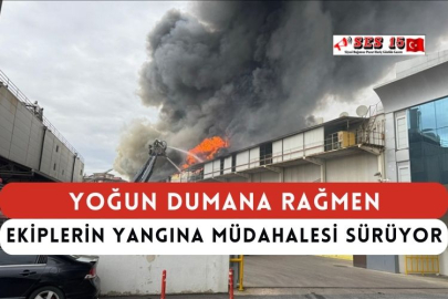 Yoğun Dumana Rağmen Ekiplerin Yangına Müdahalesi Sürüyor