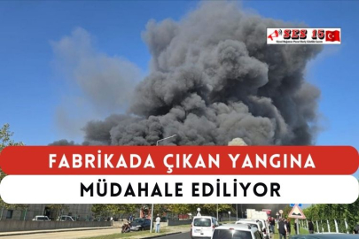 Fabrikada Çıkan Yangına Müdahale Ediliyor