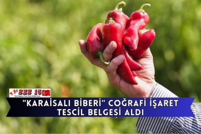 "Karaisalı Biberi" Coğrafi İşaret Tescil Belgesi Aldı