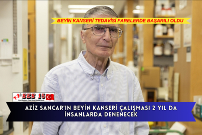 Aziz Sancar'ın Beyin Kanseri" Çalışması 2 Yıl Da İnsanlarda Denenecek