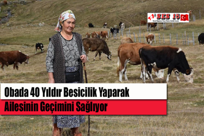 Obada 40 Yıldır Besicilik Yaparak Ailesinin Geçimini Sağlıyor