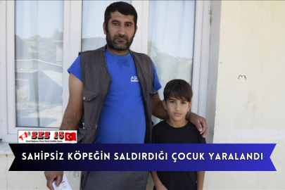 Sahipsiz Köpeğin Saldırdığı Çocuk Yaralandı