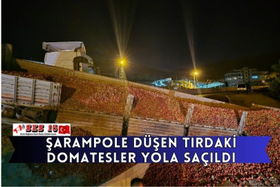 Şarampole Düşen Tırdaki Domatesler Yola Saçıldı