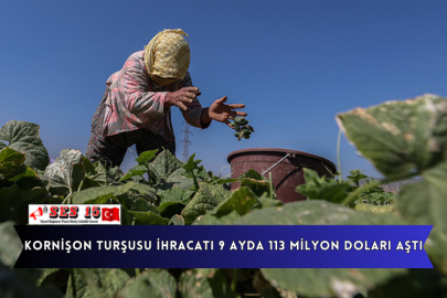 Kornişon Turşusu İhracatı 9 Ayda 113 Milyon Doları Aştı