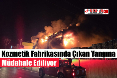 Kozmetik Fabrikasında Çıkan Yangına Müdahale Ediliyor