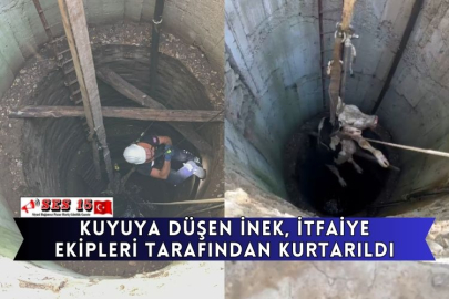 Kuyuya Düşen İnek, İtfaiye Ekipleri Tarafından Kurtarıldı