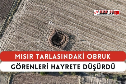 Mısır Tarlasındaki Obruk Görenleri Hayrete Düşürdü
