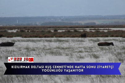 Kızılırmak Deltası Kuş Cenneti'nde Hafta Sonu Ziyaretçi Yoğunluğu Yaşanıyor