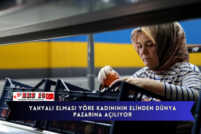 Yahyalı Elması Yöre Kadınının Elinden Dünya Pazarına Açılıyor
