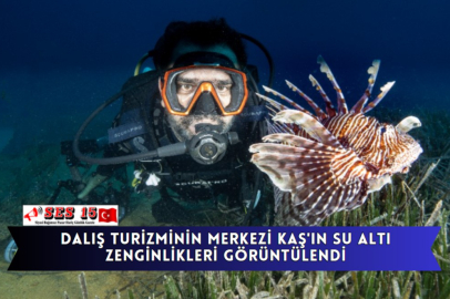 Dalış Turizminin Merkezi Kaş'ın Su Altı Zenginlikleri Görüntülendi