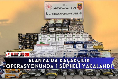 Alanya'da Kaçakçılık Operasyonunda 1 Şüpheli Yakalandı