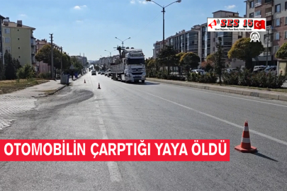 Otomobilin Çarptığı Yaya Öldü