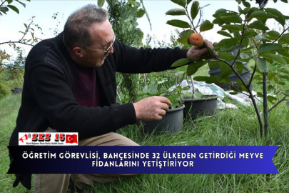 Öğretim Görevlisi, Bahçesinde 32 Ülkeden Getirdiği Meyve Fidanlarını Yetiştiriyor